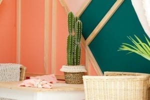 Shed detail: Miniature cactus.