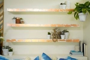 Shed detail: Shelves with potted plants.
