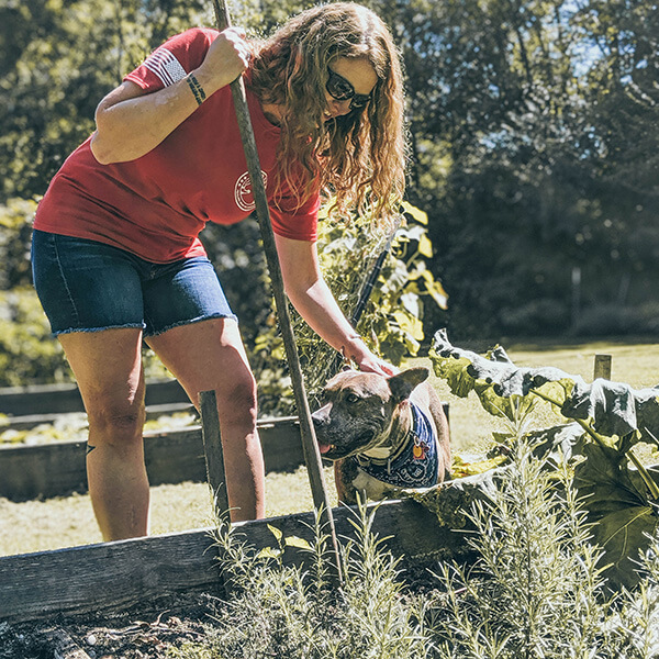 Image of garden and dog gardening ideas
