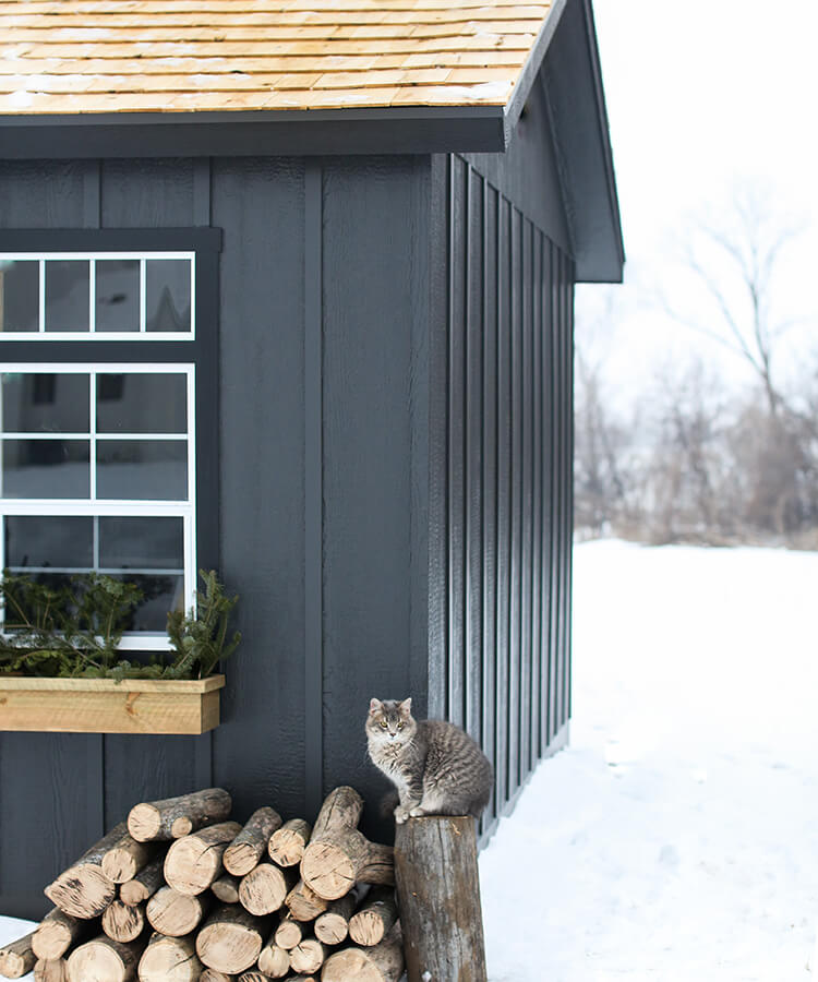 winter storage of tools