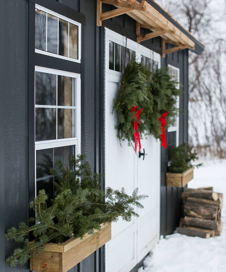 shed house for winter