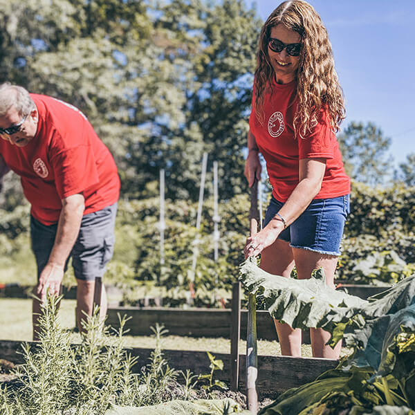Image of veteran gardening gardening plants